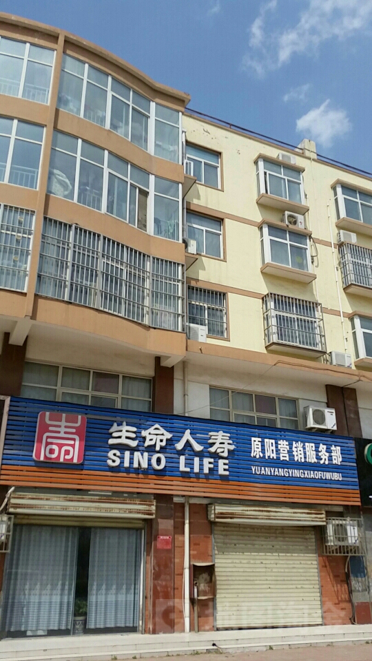生命人寿(原阳营销服务部)