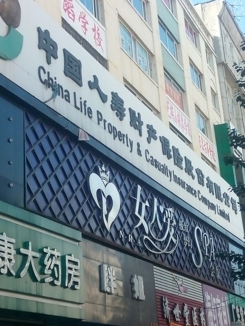 中国人寿(鹤岗分公司)