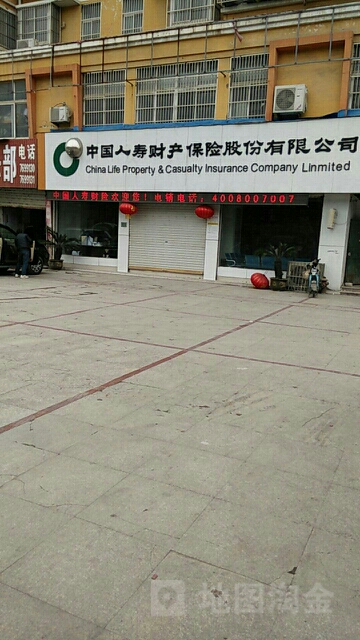 中国人寿(嵇康中路)
