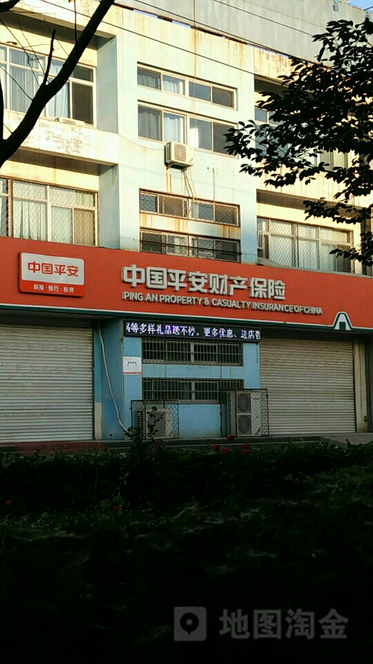 平安财险(辛集市分公司)