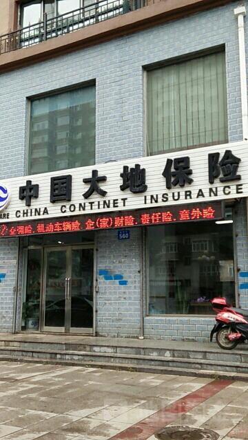 大地保险(依兰县营销服务部)