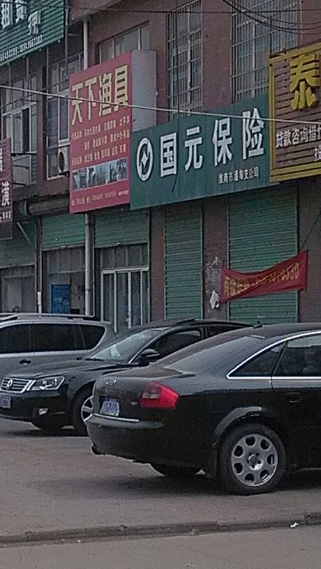 国元保险(淮南市潘集支公司)