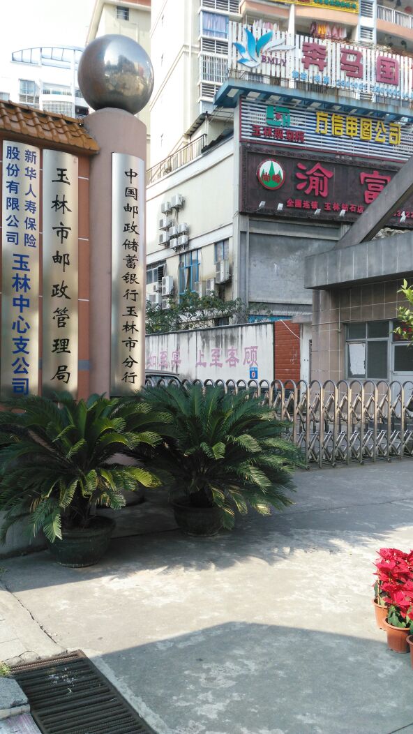 新华人寿(玉林分公司)