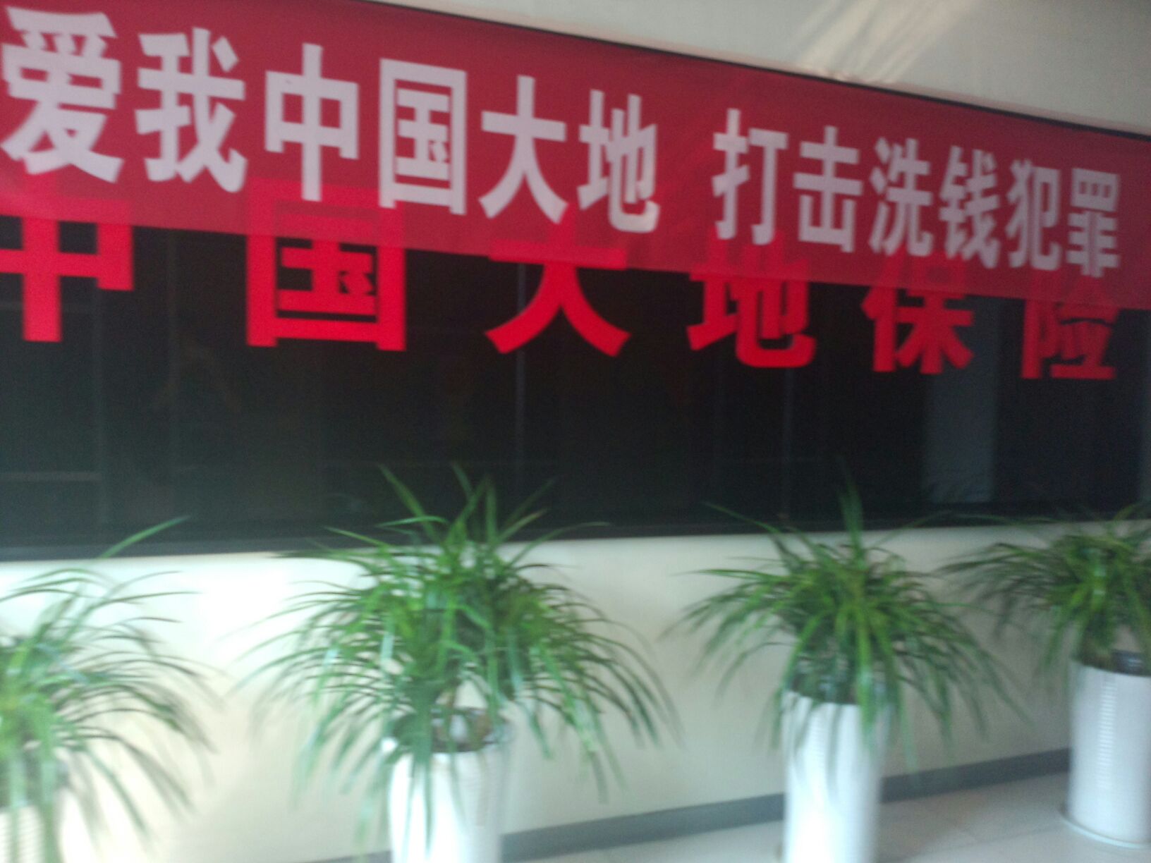 大地保险(常州中心支公司)