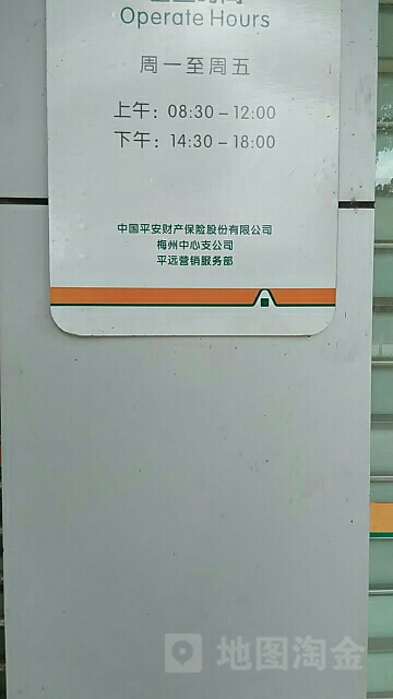 平安财险(平远支公司)