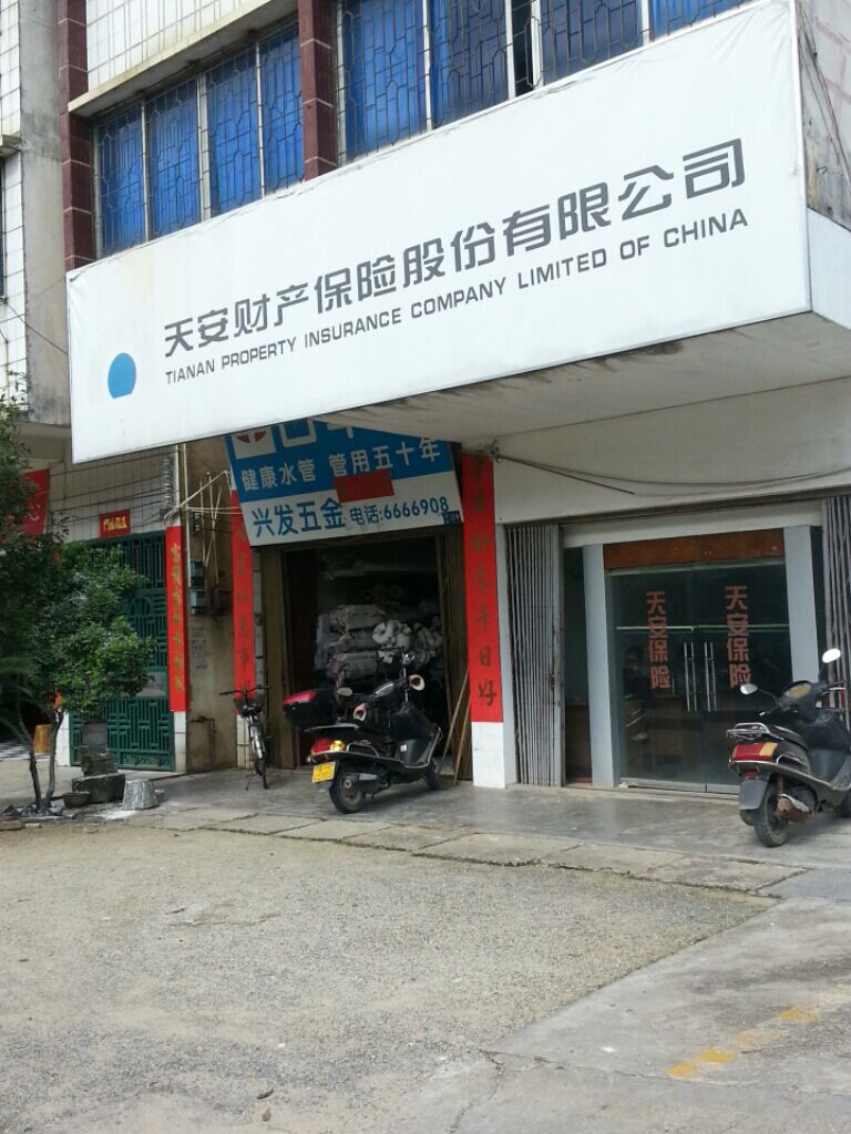 天安保险(封开营销服务部)
