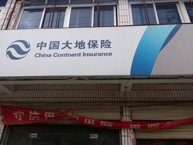 大地保险(新蔡营销服务部)