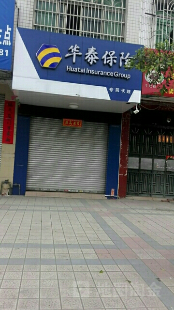 华泰保险(专属代理)