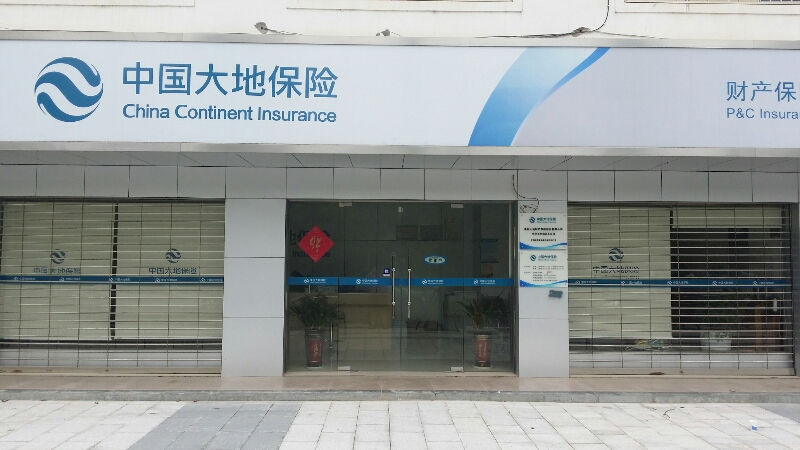 大地保险(长沙市开福区支公司)