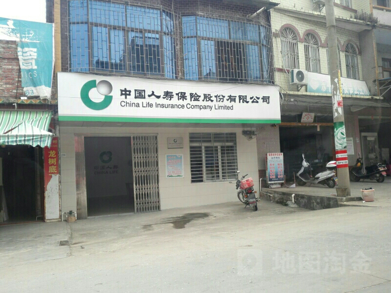中国人寿(东平营销部)