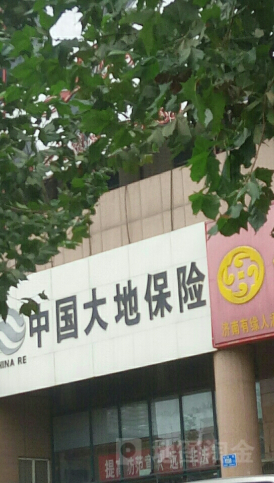 大地保险(长清支公司)