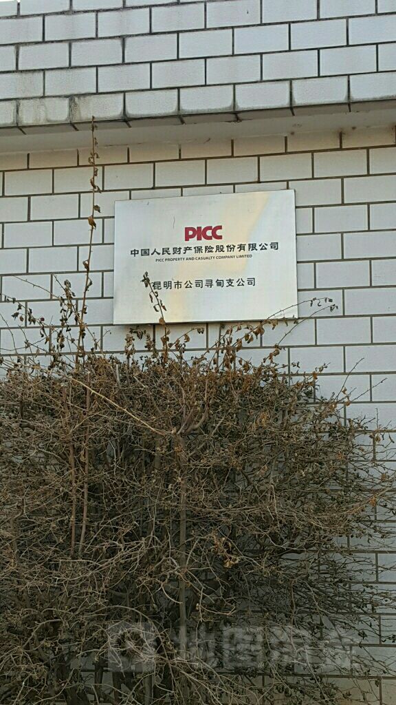 人保财险(寻甸支公司)