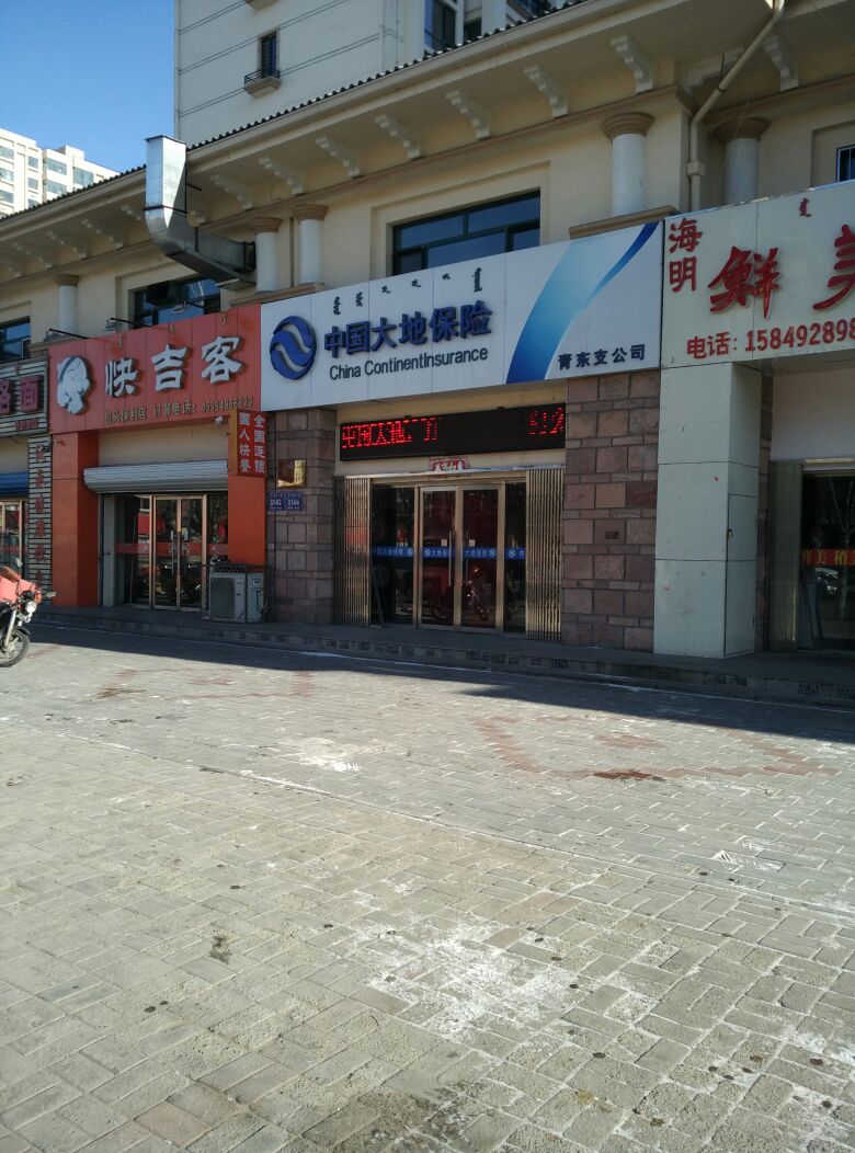 大地保险(青东支公司)