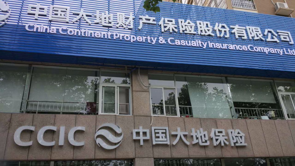 大地保险(新乡中心支公司)