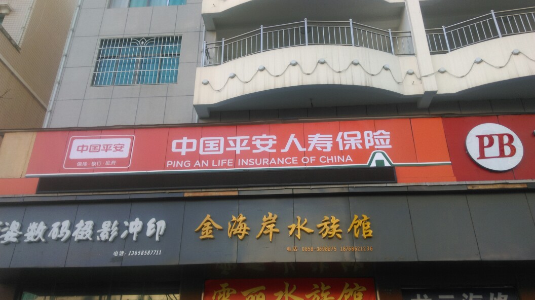 中国平安人寿(贵州分公司盘县营销服务部)
