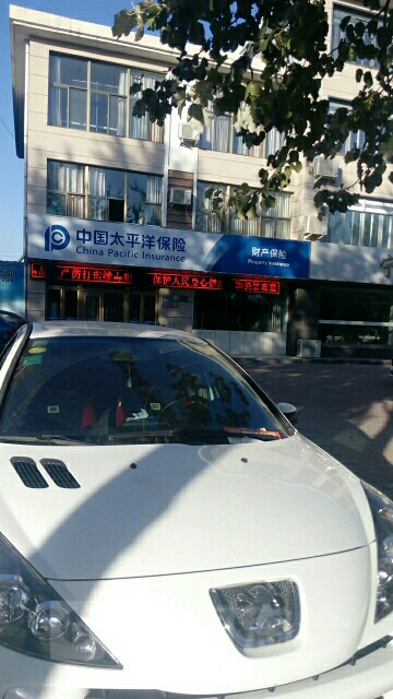 中国太平洋保险(石嘴山中心支公司)