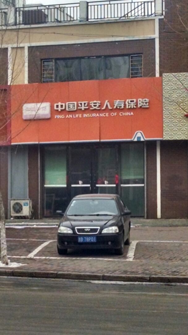 平安财险(振兴大街分公司)
