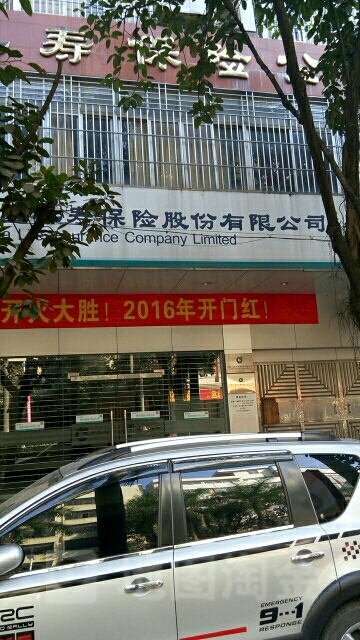 平安财险(罗定市骏发代理处)