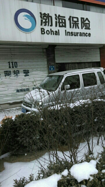 渤海保险(榆林市中心支公司)