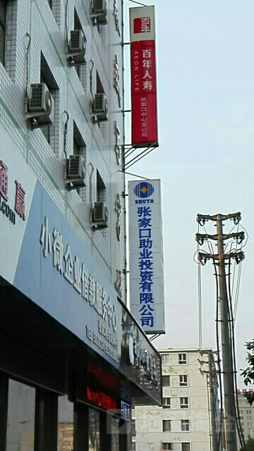 百年人寿(张家口中心支行)