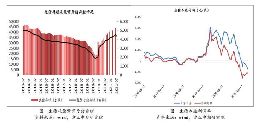 产区收获慢于往年 玉米下方仍有支撑