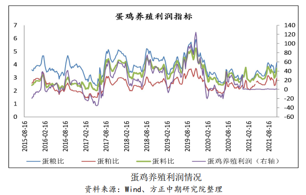 产蛋鸡存栏量偏低 鸡蛋下方仍有支撑