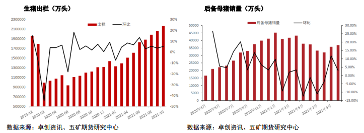 猪价下行空间受限 需求已被提前透支