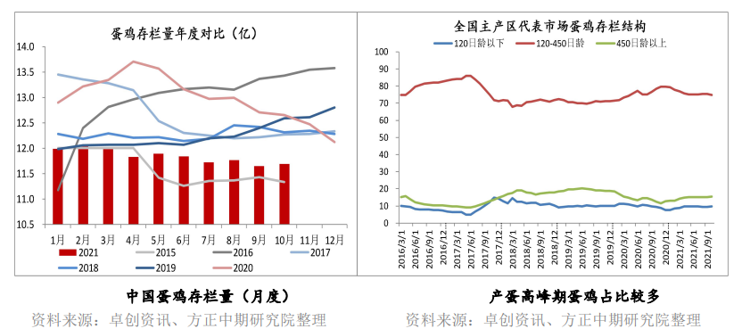 产蛋鸡存栏量偏低 鸡蛋下方仍有支撑