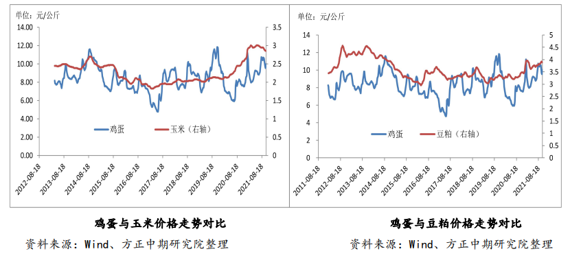 产蛋鸡存栏量偏低 鸡蛋下方仍有支撑