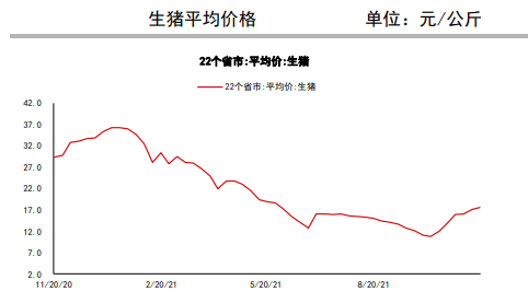 阶段供需错配 近期猪价反弹有原因