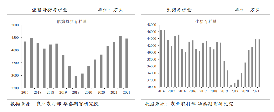 供需依然宽松 生猪维持看空思路