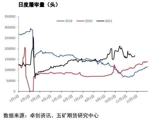 现货下跌后情绪急速转空 生猪低位震荡