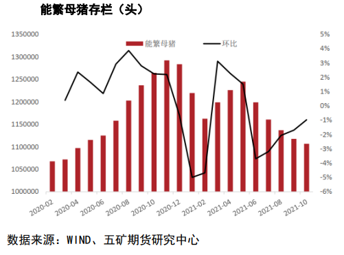 现货下跌后情绪急速转空 生猪低位震荡