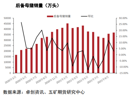 现货下跌后情绪急速转空 生猪低位震荡