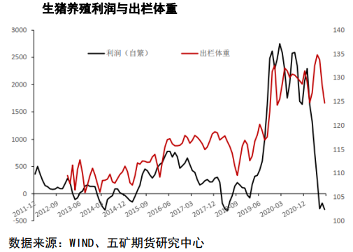 现货下跌后情绪急速转空 生猪低位震荡