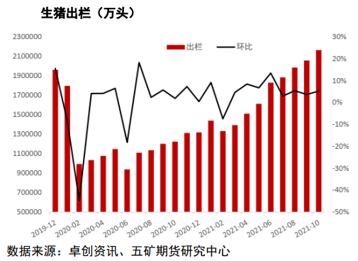 现货下跌后情绪急速转空 生猪低位震荡