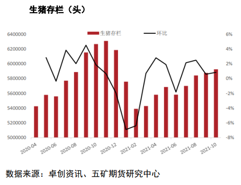 现货下跌后情绪急速转空 生猪低位震荡