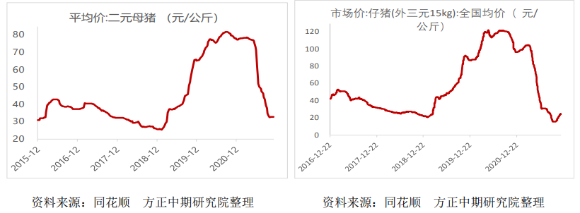 奥密克戎持续影响金融市场 生猪放量下跌