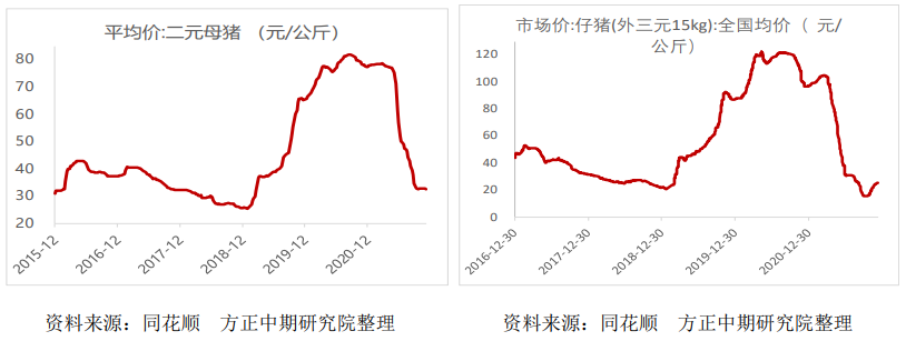 新毒株影响力度减弱 生猪止跌企稳