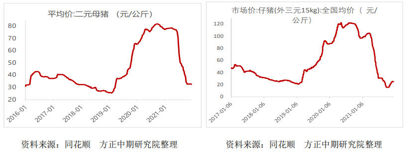 市场成交依旧低迷 生猪温和震荡