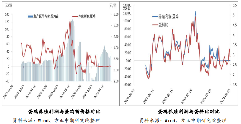 补苗积极性不高 鸡蛋震荡整理