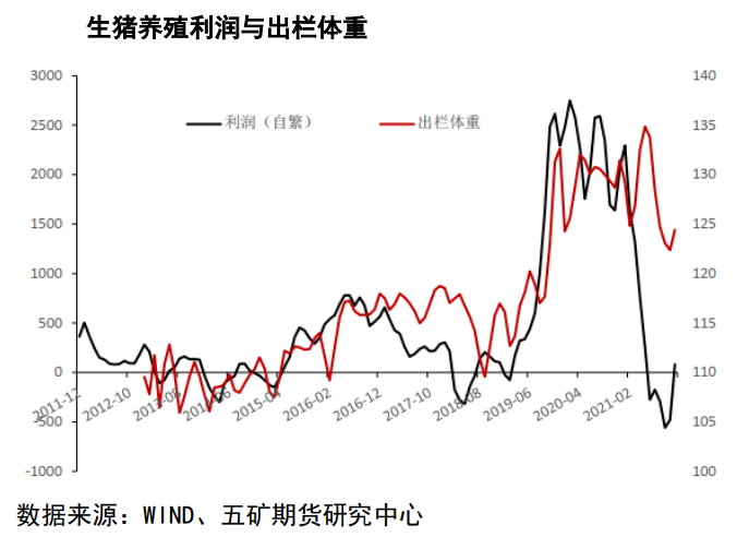 需求集中度相对有限 猪价仍有回落空间