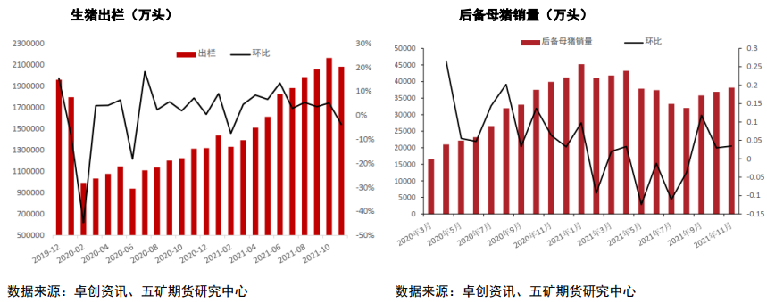 需求集中度相对有限 猪价仍有回落空间