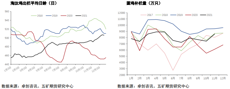 大行情改善有限 鸡蛋小幅调整