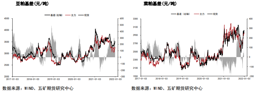 南美产区旱情缓解 豆粕走高动力减弱