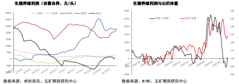 节后需求或有断档 生猪长期承压