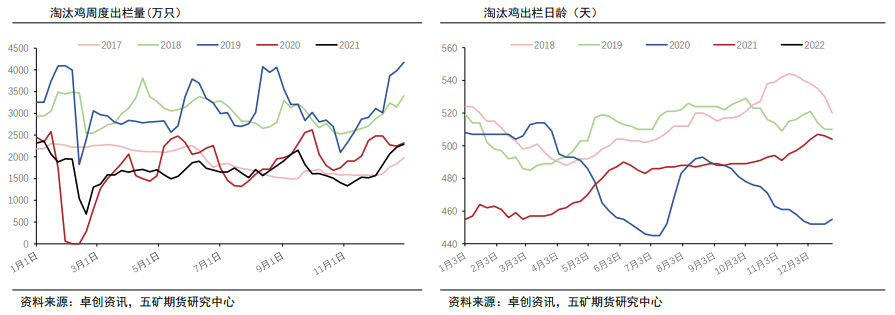 需求抑制消费 蛋价有回落风险