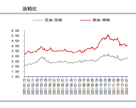 美农1月供需报告偏多 豆粕或跟随外盘补涨