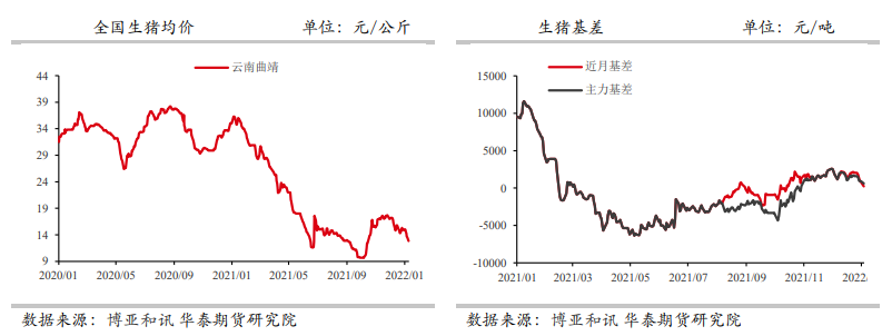 需求端疫情扰动 生猪稳中调整