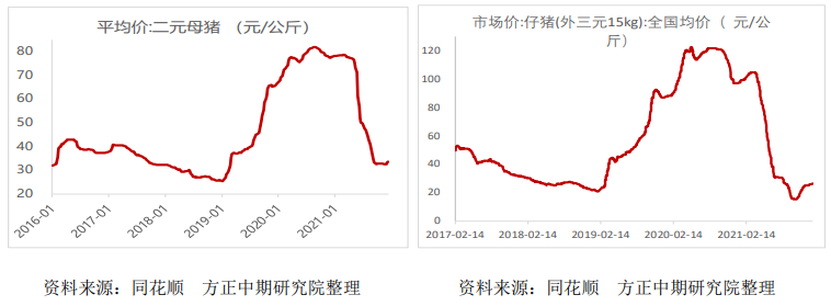 能繁母猪数达到年内最高 生猪震荡走低